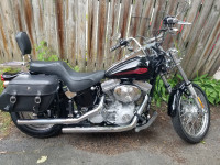 Harley davidson FXST softail showroom condition