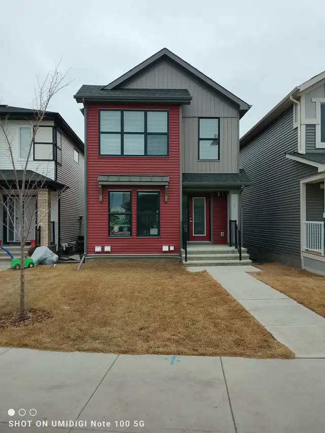 Room for Rent in Homestead, NE Calgary. New Basement Renovation