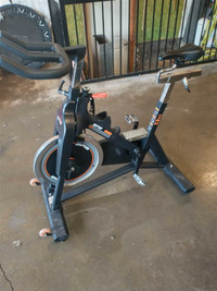 Spin bike AFG 7.3 40 lb flywheel $500 o.b.o