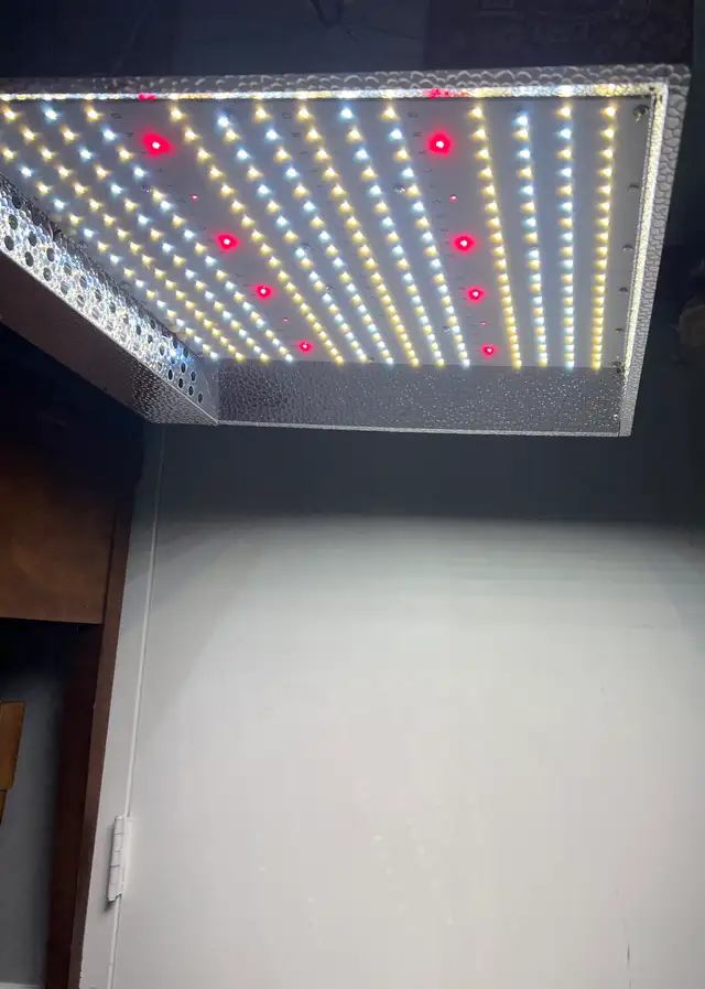 Growlight 2000Watt in Plants, Fertilizer & Soil in City of Toronto - Image 11
