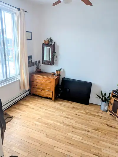5 1/2 Villeray July 1st (pets allowed)