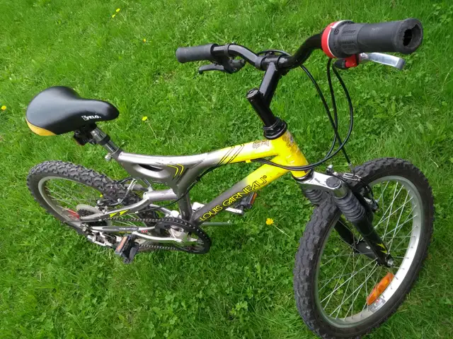 Bikes for youths and adults / vélos pour jeunes et adultes in Mountain in City of Montréal - Image 11