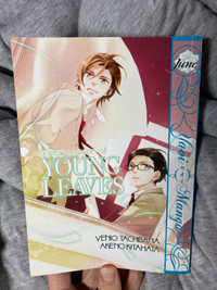 Yaoi manga: a new season of young leaves