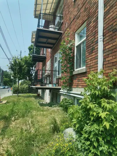 Du College 4-1/2 apartment