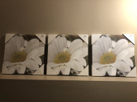 3 Canvas Prints - In Packaging