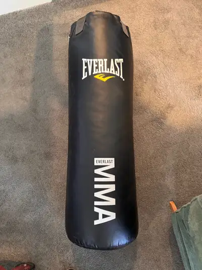 Everlast Punching bag , View more