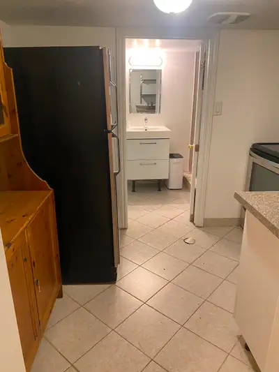 1 bedroom basement apartment in Trinity Bellwoods