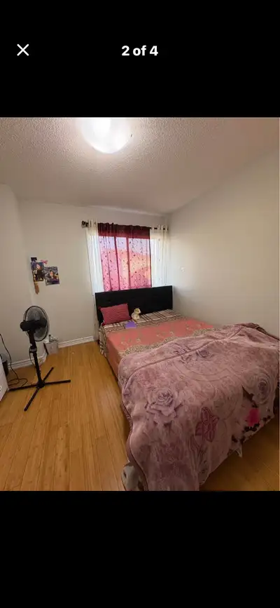 Shared Room Available – Couples, 2 Girls or 2 Boys Welcome! Prime Location: Bramalea Rd & Bovaird Dr...