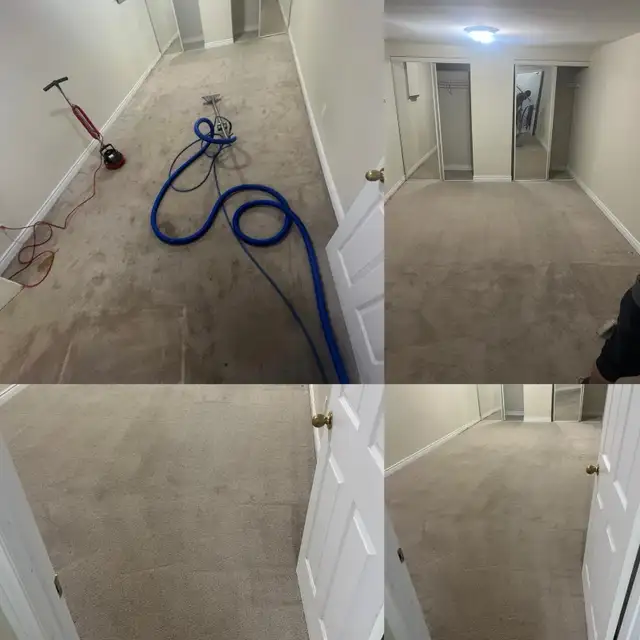 Carpet, sofa, tiles and mattresses cleaning 63436968913539124