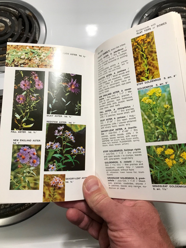 A Guide in Full Color - WILDFLOWERS and WEEDS Book .  in Textbooks in Sarnia - Image 4
