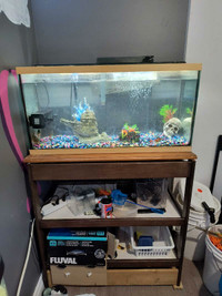Aquarium 45 G+ meuble + 3 piranha 