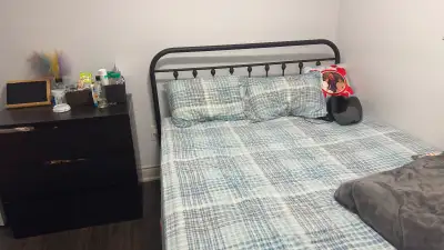 One private room for rent