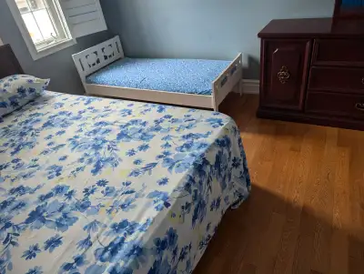 pictures of the unit