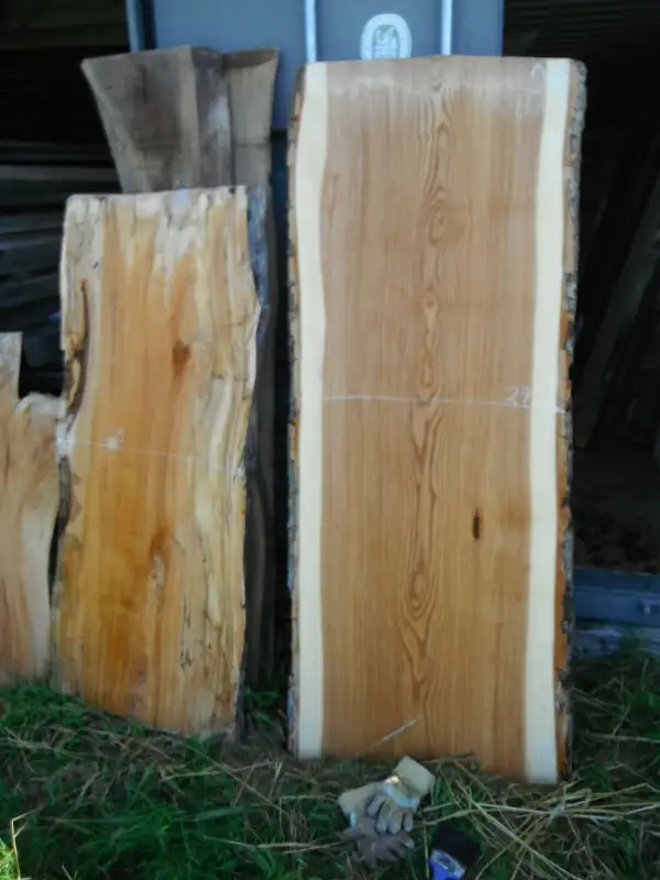 Live edge slabs in Hobbies & Crafts in Ottawa - Image 9