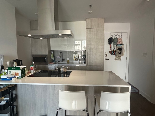 Sublease 3 1/2 Drummond (DT CORE) — photo 1