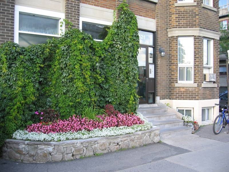 7421 Boulevard Saint-Laurent — photo 1