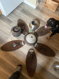 Large ceiling fan 