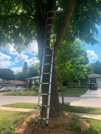 Telescopic Ladder, View more