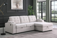 New in  Box Sectional Sleeper Sofa Bed - Free Delivery & Install