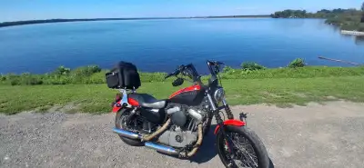 Harley davidson nightster 1200 année 2008 roule super roue arrière neuve poigner 14 pouce lumières a...