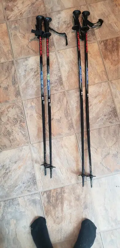 Gabel Ski Poles, View more