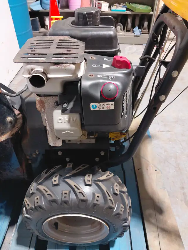 Craftsman Professional Snowblower (Briggs & Stratton Engine) 30 ...
