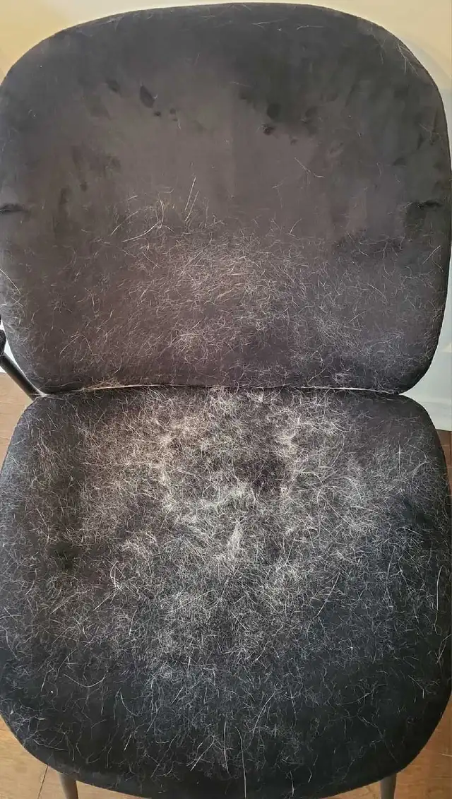 Housekeeping / Cleaning Lady64840201379458122