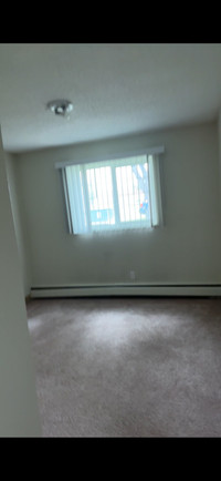 Looking for roommate 