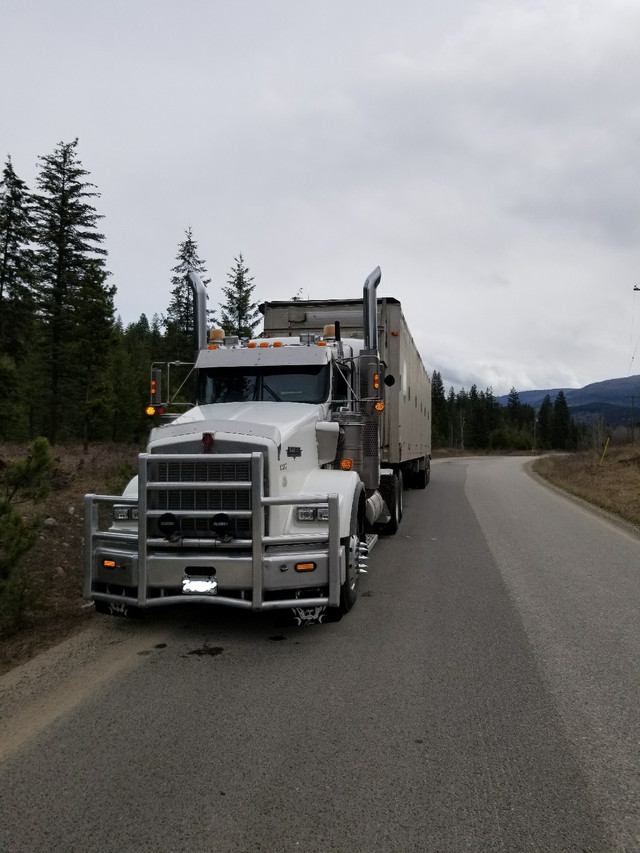 2009 Kenworth T800 Cummins 18 Speed Tandem dans Camions lourds  à Williams Lake