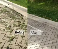 Weed removal - cleaning patios, lawns & backyards