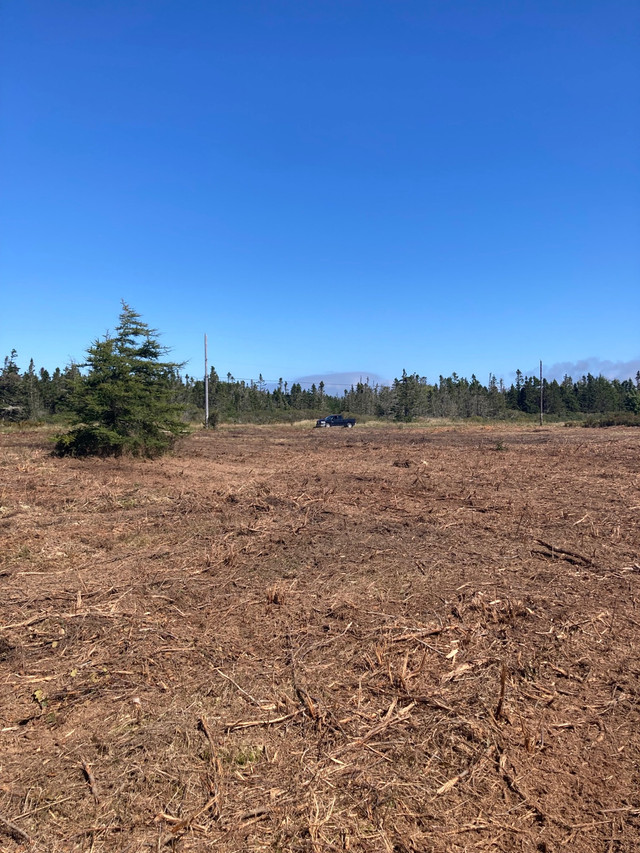 2.67 Acre Lot Israel Allen Rd in Land for Sale in Yarmouth - Image 4