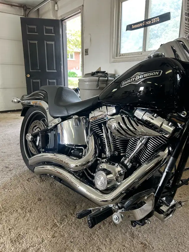 Harley Davidson Softail in Street, Cruisers & Choppers in Oakville / Halton Region - Image 3