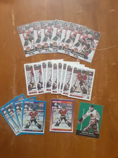 LOT DE CARTES DE HOCKEY ROOKIE DU GARDIEN VEDETTE DOMINIK HASEK, View more
