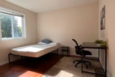 Available August 1st - Furnished Room Downtown