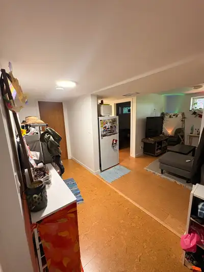 Basement suite in Banff, close to downtown. Muskratstreet. 2 bedrooms, shared 1 bathroom with bathtu...