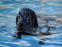 Pet Portraits from Local Artist! Oil Paintings - Highest Quality