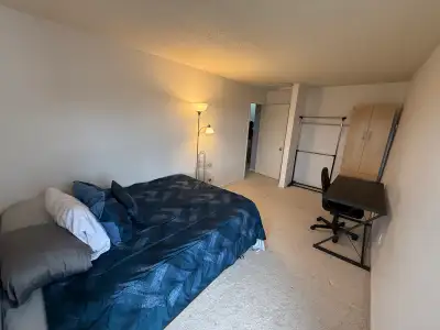 Ideal Room for rent to single student or working individual. Less than 1km to Algonquin college and...