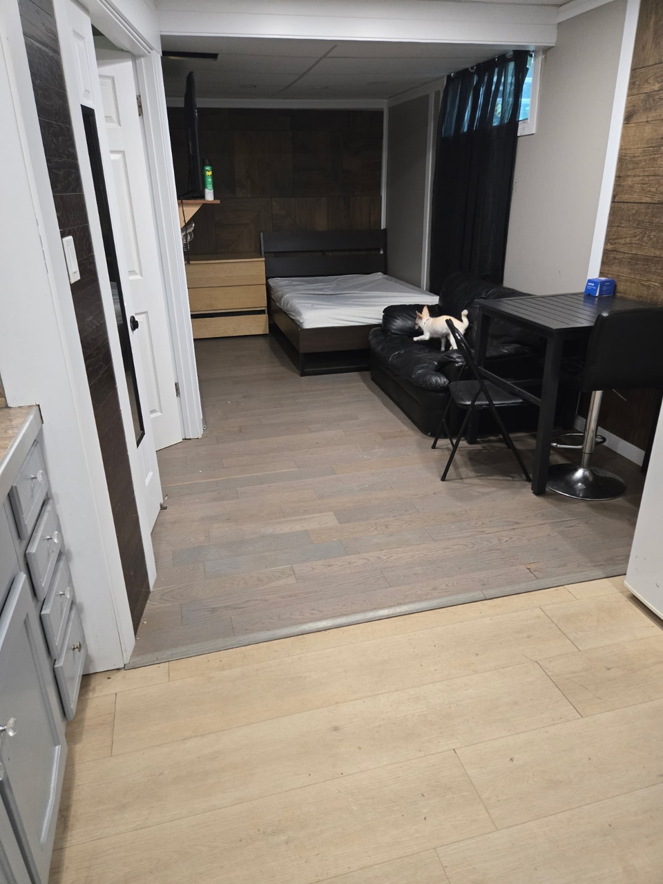 Studio Basement Suite 2