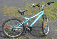 Kids or Small Adult Mountain Bike