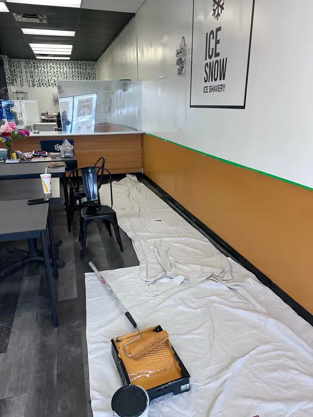 Experienced painter65561289442433124