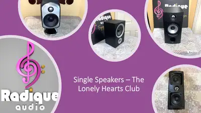 Radique Multi-Ad - 28 Single Speakers Available, View more
