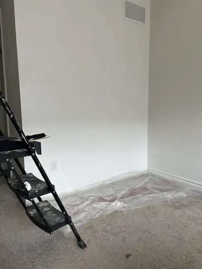 Painter  looking for small job, View more