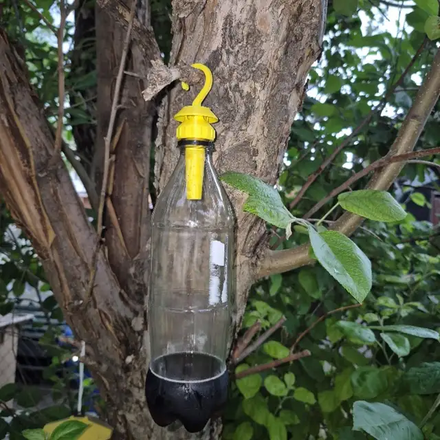 3D Printed Wasp Trap for Pop Bottles. in Patio & Garden Furniture in Regina - Image 5