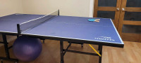 Ping pong table  
