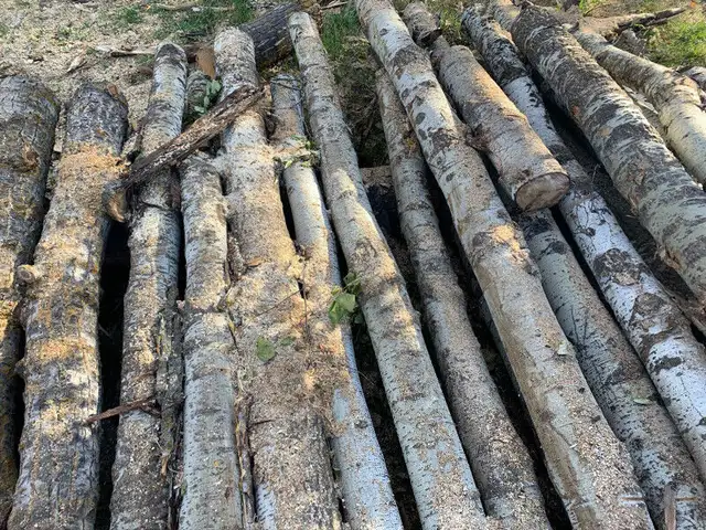 Fire wood and smoking wood in BBQs & Outdoor Cooking in Edmonton - Image 6