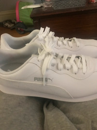 New puma shoes never worn no box