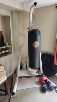 Everlast puching bag with stand