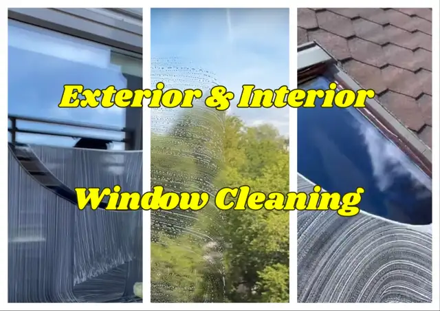 Window Cleaning - Window Washing444703041976412160