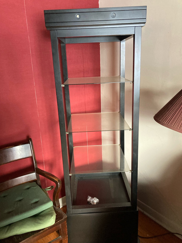 Display cabinet in Hutches & Display Cabinets in Markham / York Region