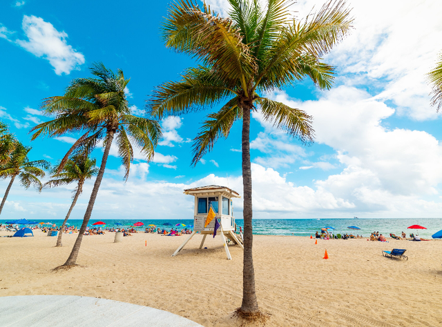 Apartment for rent-FLA in Florida in Canada - Image 13